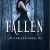 Lauren Kate – Fallen Audiobook