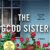 Sally Hepworth – The Good Sister Audiobook