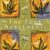 Don Miguel Ruiz – The Four Agreements Audiobook