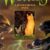 Erin Hunter – Warriors #5 – A Dangerous Path Audiobook