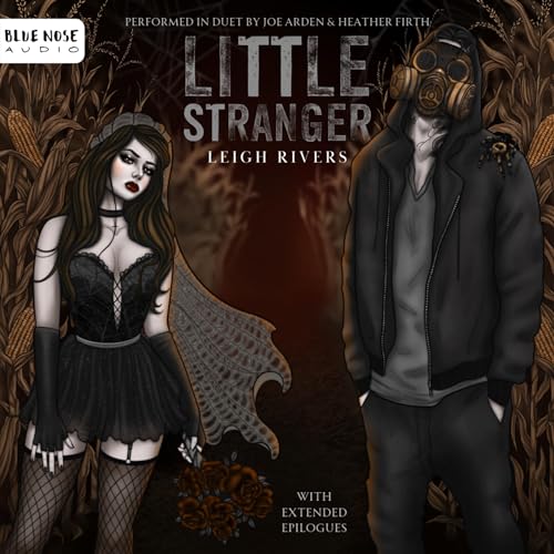 Little Stranger Audiobook By Leigh Rivers Audio Book Online Free