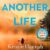 Kristin Hannah – Another Life Audiobook